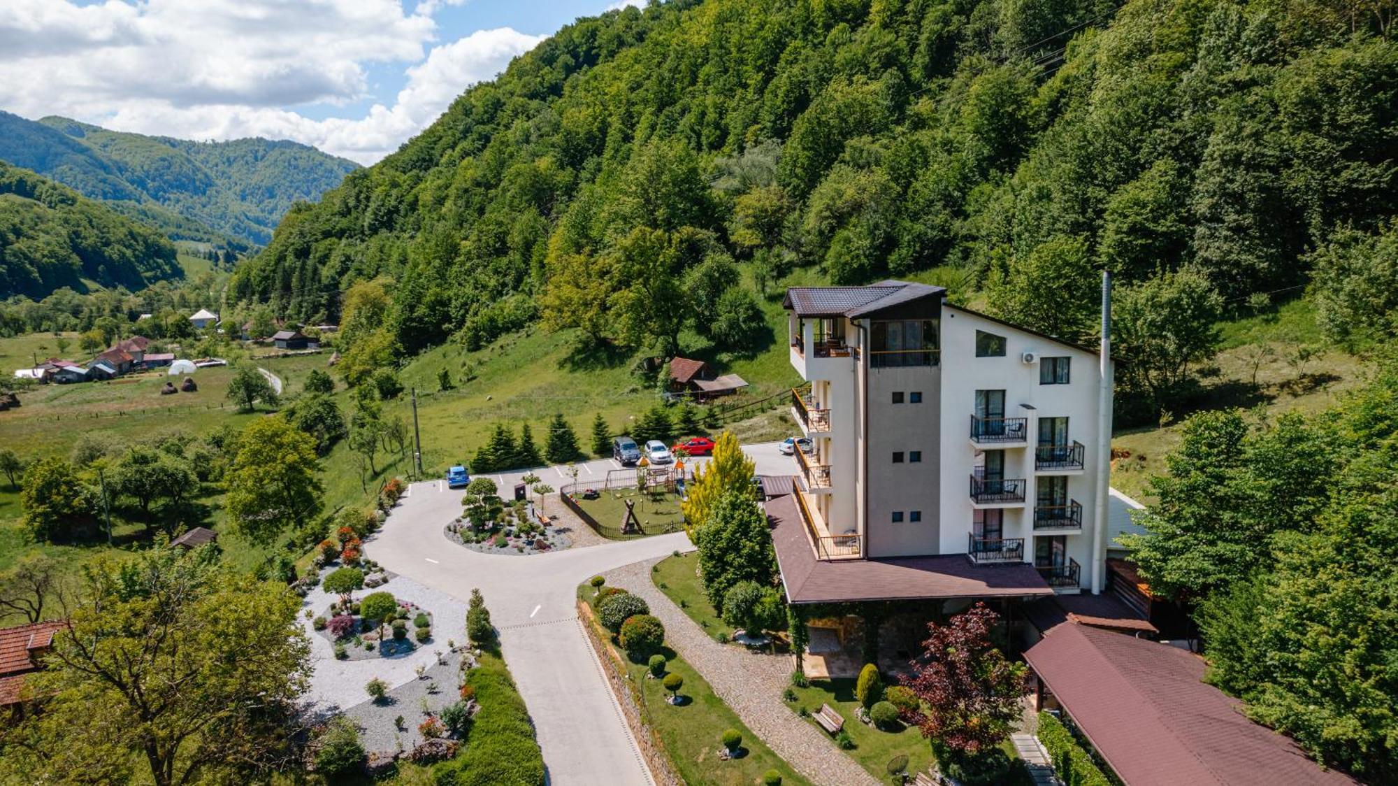 Pensiunea Apuseni Wild Remeti Ngoại thất bức ảnh